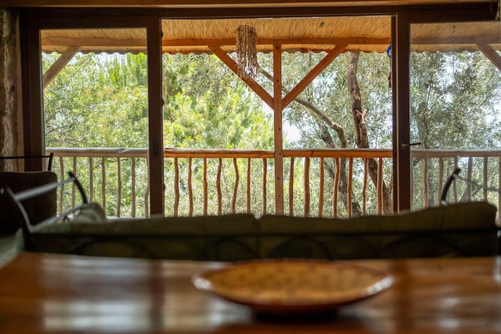 Kabak'ta Zeytin Ağaçları Arasında Havuzlu Taş Ev - Turquia