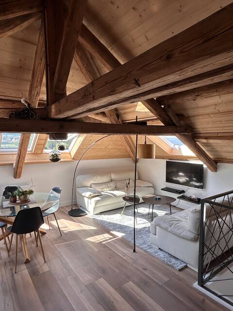 Attic apartment in the city center