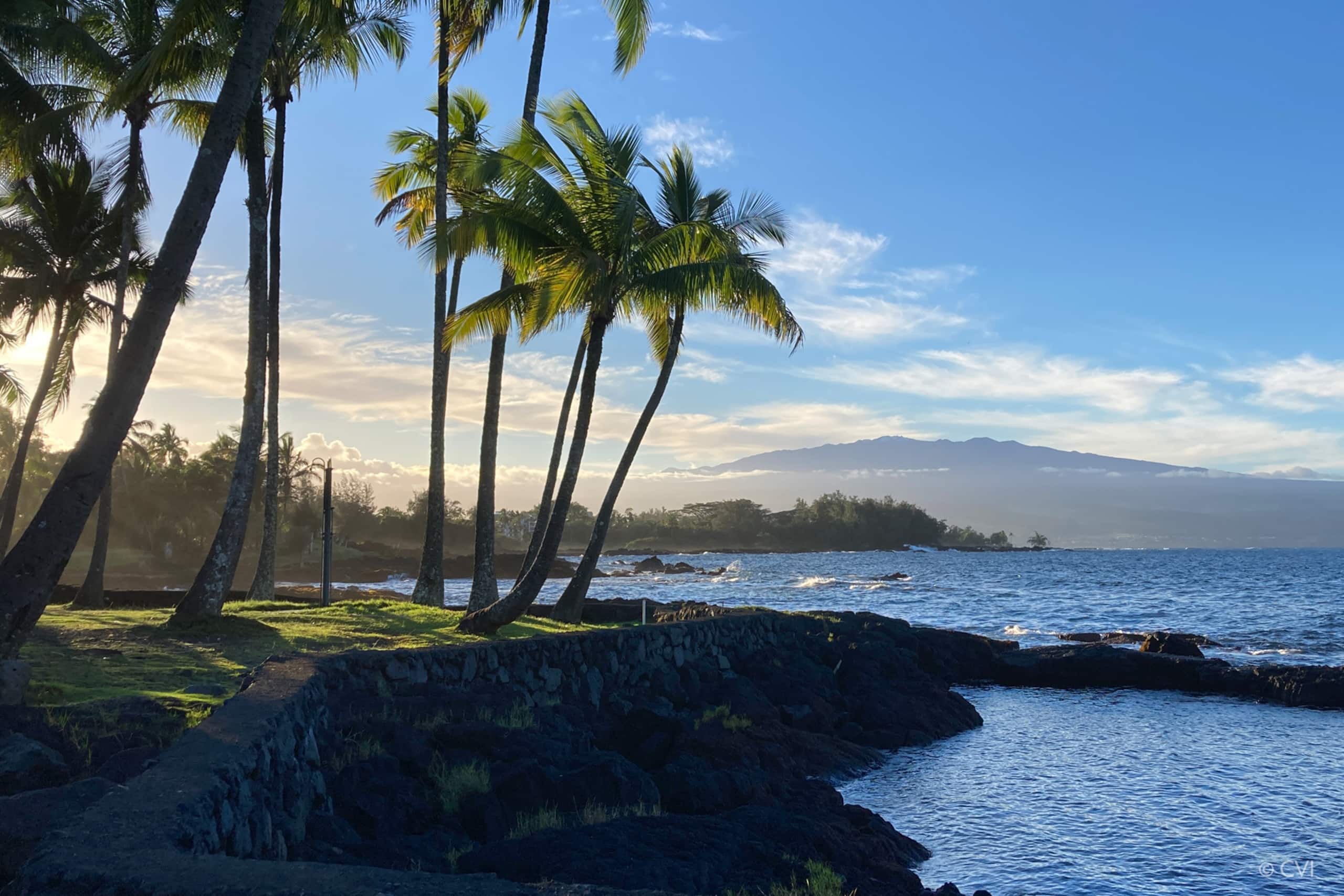 Beachfront Spectacular 1brm Mauna Loa Shores - Image 19