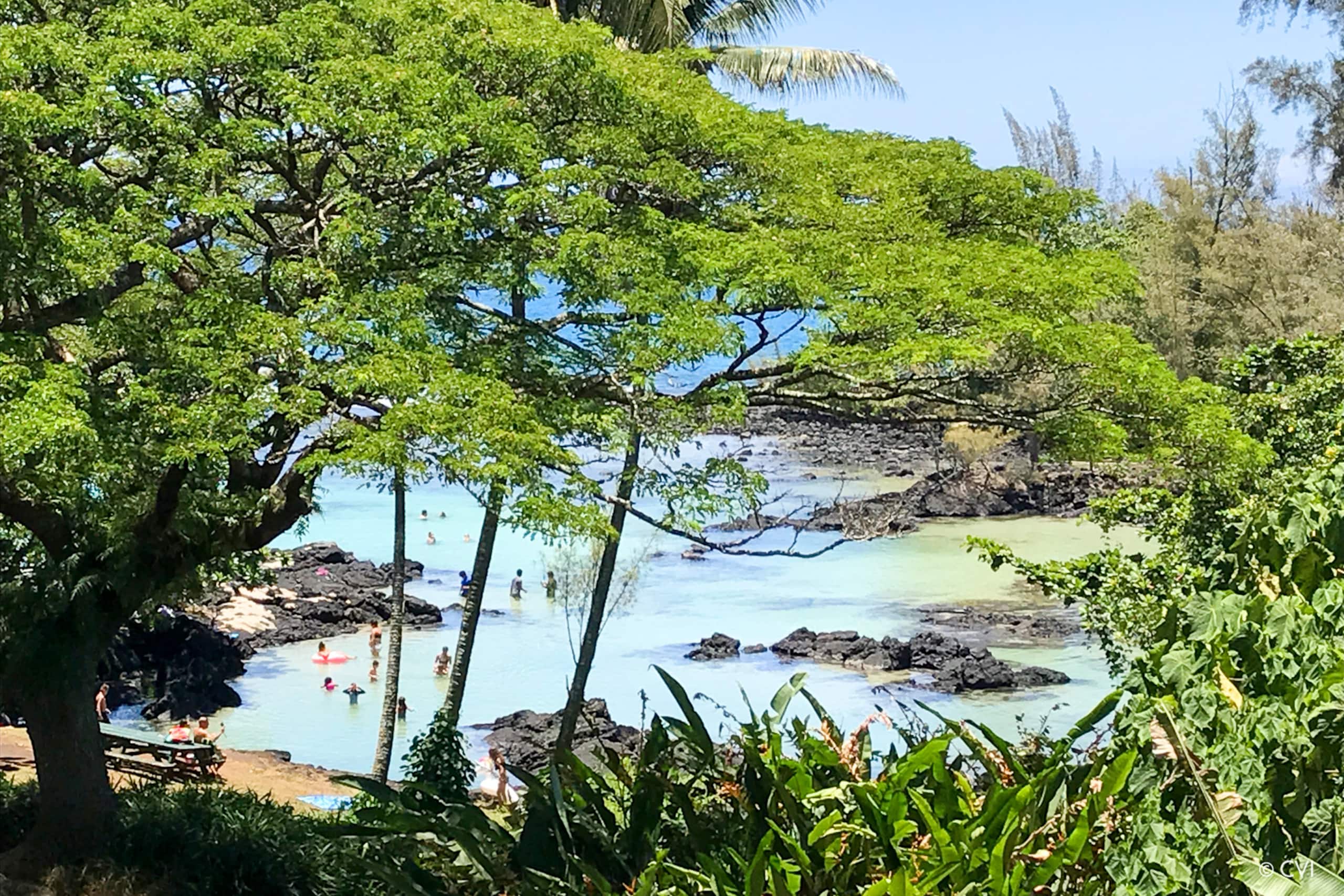 Beachfront Spectacular 1brm Mauna Loa Shores - Image 1