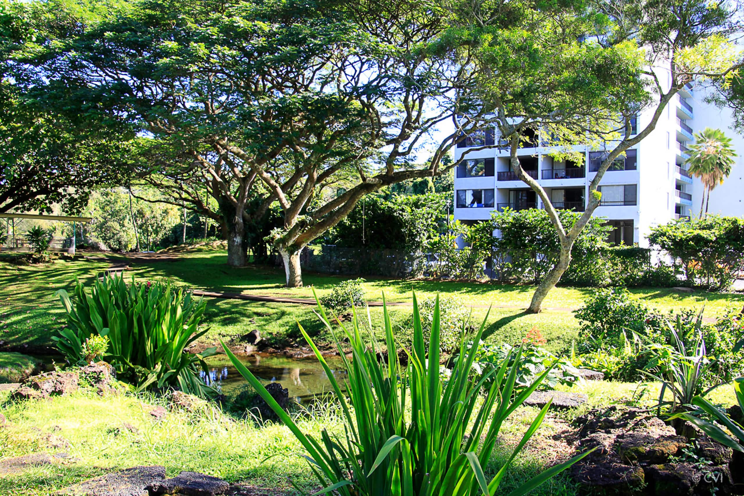 Beachfront Spectacular 1brm Mauna Loa Shores - Image 2