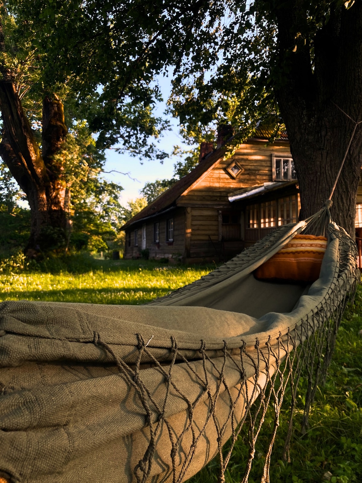 A hammock is suspended between two trees, inviting relaxation in the lush green yard. The historic wooden house is visible in the background, showcasing its rich natural surroundings under soft sunlight filtering through the leaves.