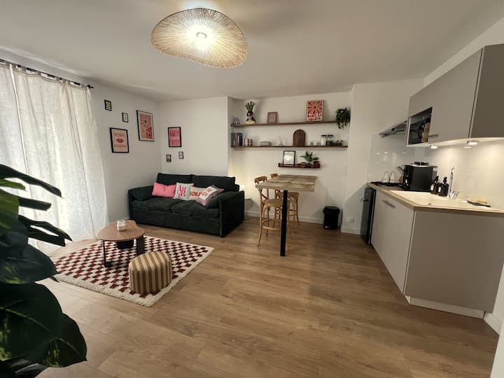 Appartement Chic & Cosy Au Calme - Albi