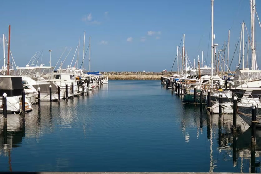 A tranquil marina is depicted, showcasing numerous boats docked along both sides of a calm waterway. The clear blue sky reflects on the water's surface, while distant rocks are visible at the end of the harbor, providing a scenic backdrop.
