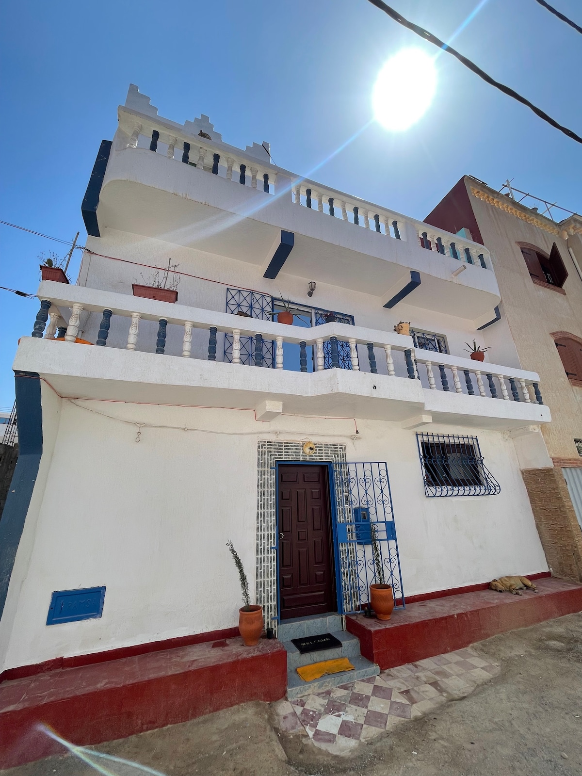 The exterior of a multi-level building is presented, featuring a white façade with blue accents. Several potted plants adorn the balcony railings. A brown door is centered at the ground level, surrounded by a patterned tile pathway leading to the entrance.