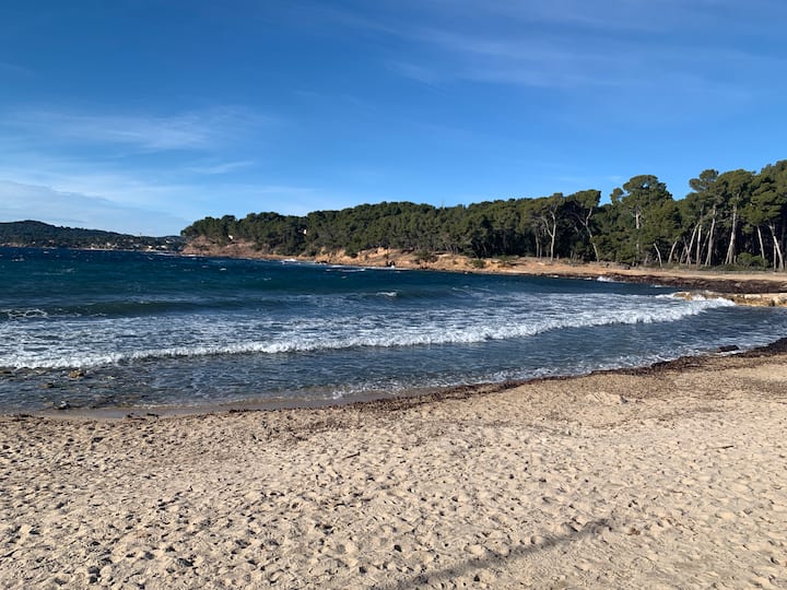 Appartement 300 M De La Mer Sur Pin-rolland - Saint-Mandrier-sur-Mer