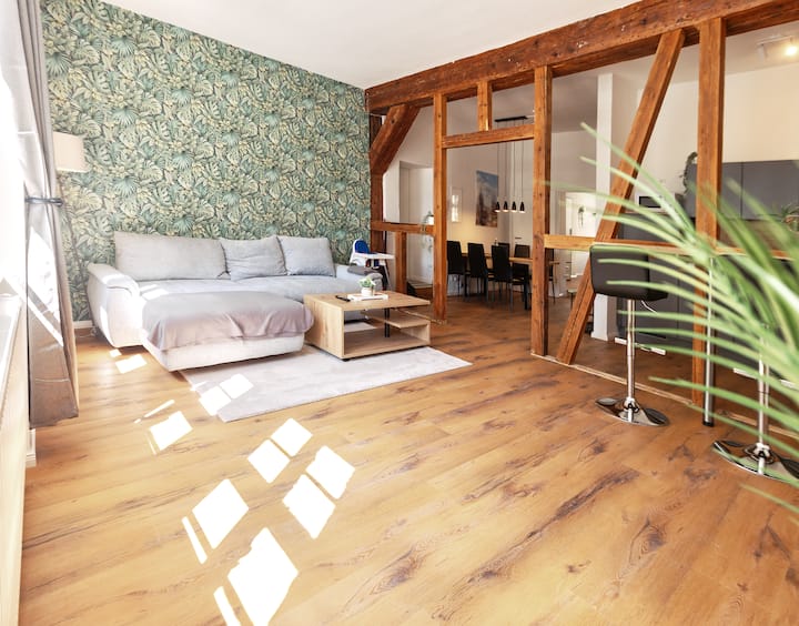 RAHA Apartments DOM VI - Erfurt Domplatz - Apartments for Rent in ...