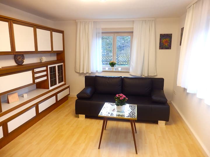 Wohnzimmer mit 1,40 x 2,00 m Leder-Schlafcouch (incl. Topper)