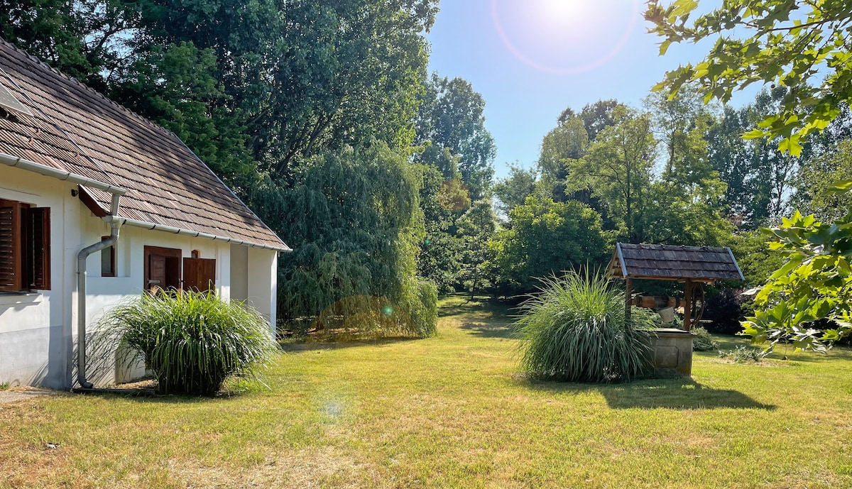 A serene outdoor space is captured, featuring a well-maintained lawn bordered by trees and lush greenery. A charming gazebo structure is visible to the right, while the house with a sloped roof stands to the left, framed by large ornamental grasses.