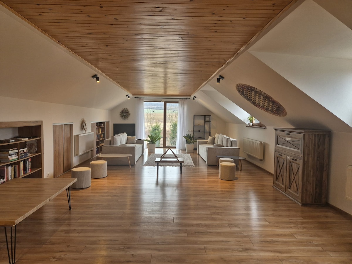 A spacious living area features wooden ceilings and large windows, allowing natural light to filter in. Comfortable seating arrangements are present, with a central coffee table and plants adding a touch of greenery. Bookshelves are positioned against the wall, enhancing the inviting atmosphere.