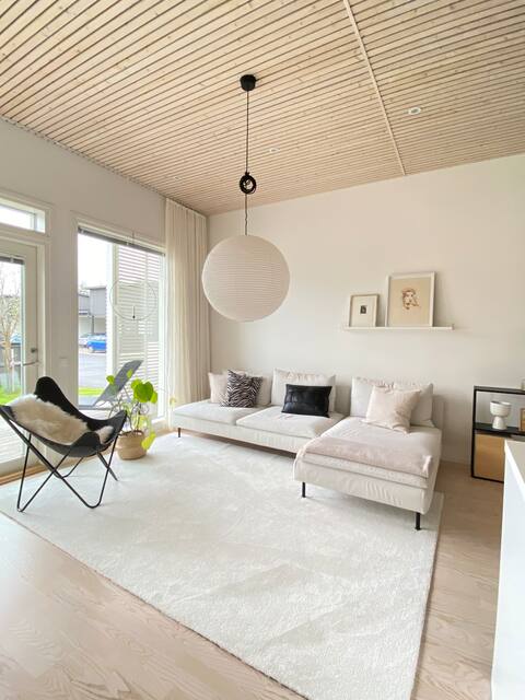 Scandinavian detached house