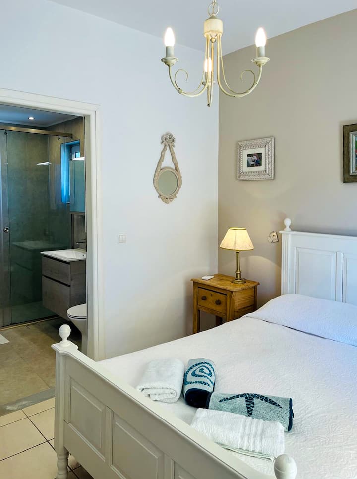 Მთავარი საძინებელი აღჭურვილი საშხაპე ოთახით (პირველი სართული).