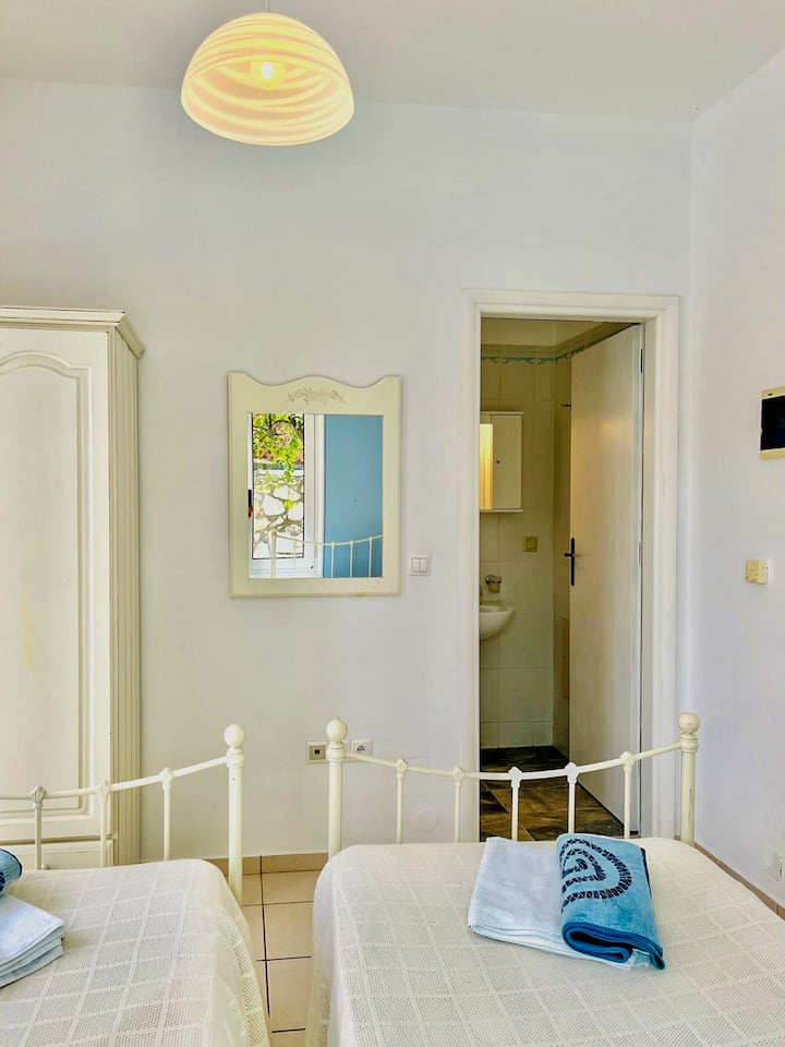 Სასტუმრო ოთახი - საძინებელი 2 აღჭურვილი საშხაპე ოთახით.