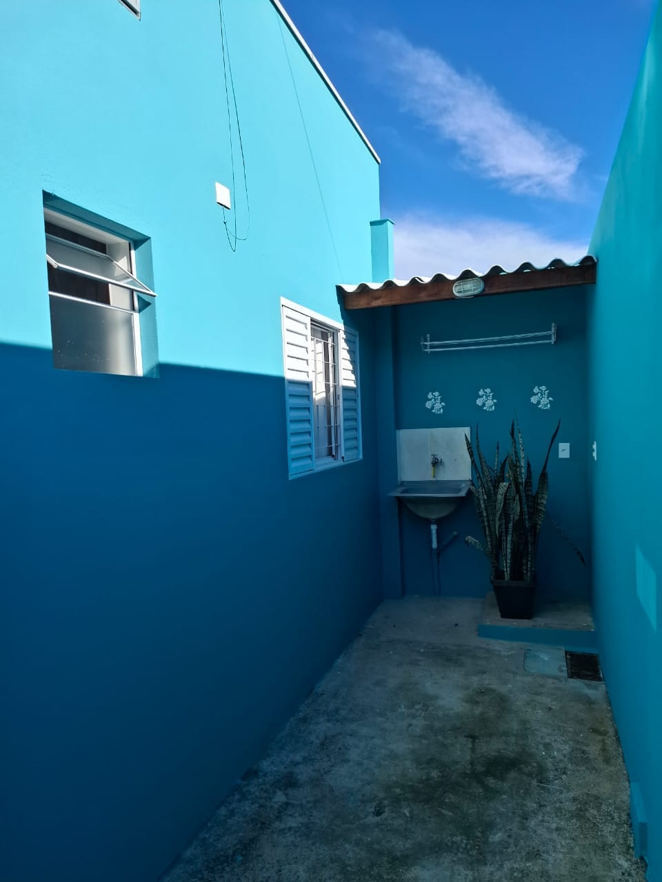 A narrow walkway is framed by vibrant blue walls, with a potted plant positioned against one side. A small sink area is visible, complemented by simple decorative elements on the opposite wall. Natural light illuminates the space, enhancing its fresh appearance.
