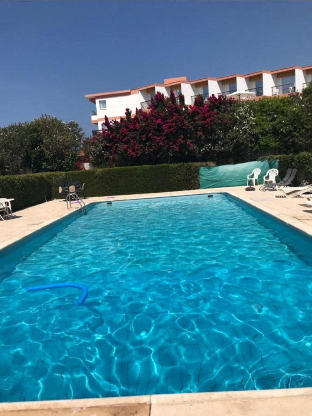 A large swimming pool is situated within a landscaped area, surrounded by lush greenery and blooming flowers. Sun loungers are placed along the poolside, providing spots for relaxation. The clear blue water reflects the sunlight, creating a bright and inviting atmosphere.