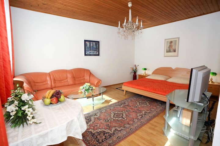 Close To Mainstation And Belvedere I Studio 17a - Vienna