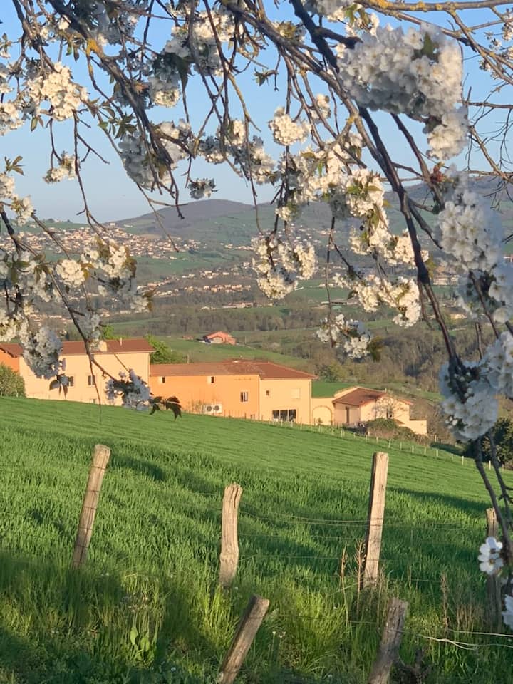 Gîte Belle Vue Proche De Lyon - L'Arbresle
