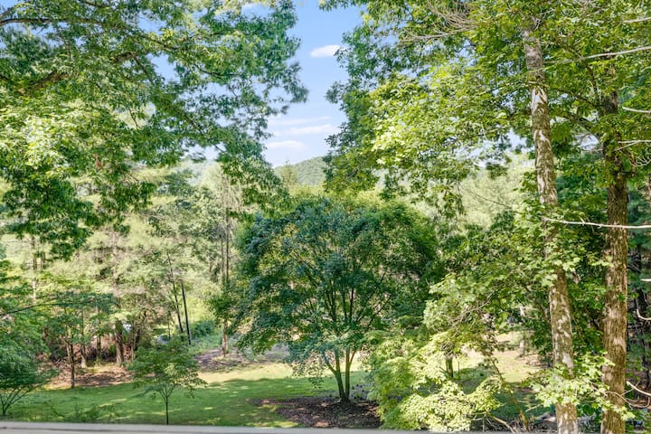 Sue's Mountain Charm Fire Pit Mountain Views - Houses for Rent in