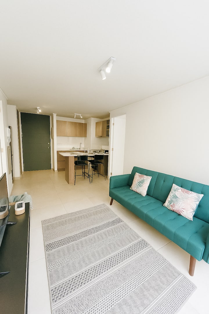 2br 2ba + Terrace & Parking - Santiago