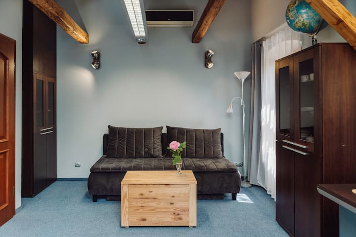 Le canapé est pliable. Après un dépliage facile, un grand lit double confortable (160 cm de large) est créé.