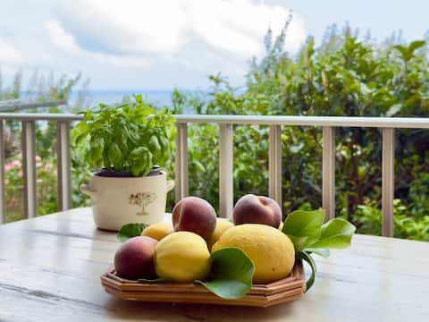 [550 meters from the sea] Balcony and Breathtaking View