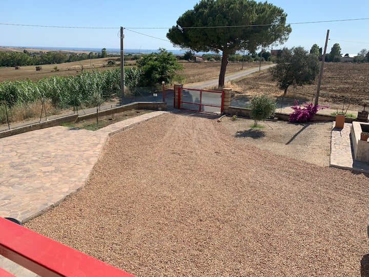 Nelle Campagne Della Maremma - Montalto di Castro