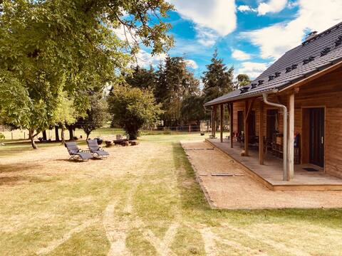 Ranch life at a Distillery on a Lake
