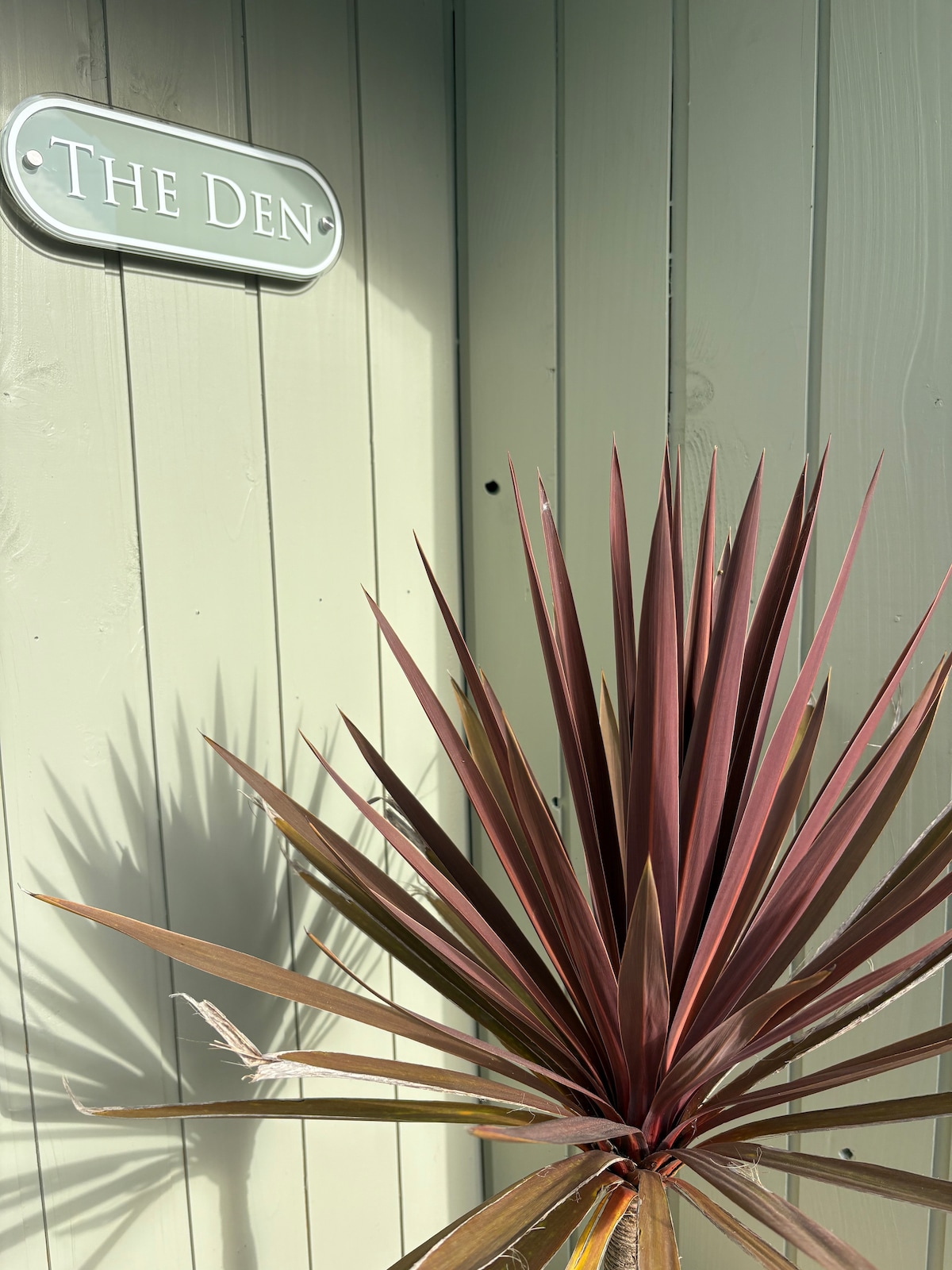 The entrance to The Den is marked by a sign mounted on green wooden siding. A tall, spiky plant is positioned prominently in the foreground, showcasing long, slender leaves that transition from green to deep burgundy.