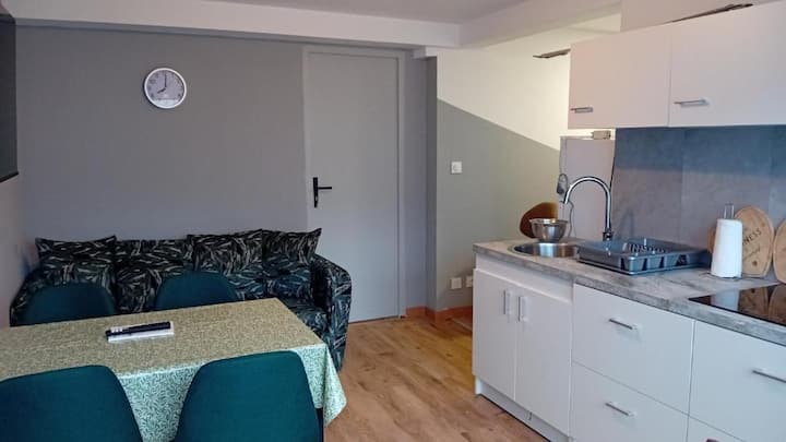 Appartement En Rez De Chaussée. - Brest