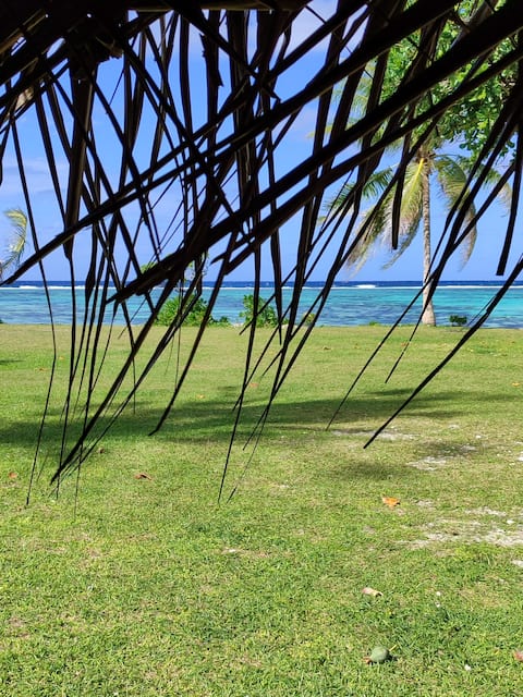Beachfront boarding - breakfasts and dinners