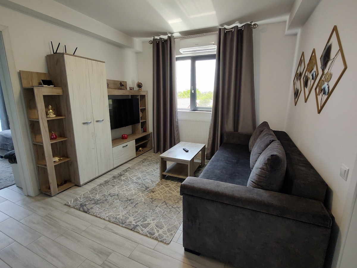 A modern living area is presented, featuring a gray sofa and a light wood entertainment unit with a television. A small coffee table sits on a textured rug, and large windows dressed with curtains allow natural light to brighten the space.