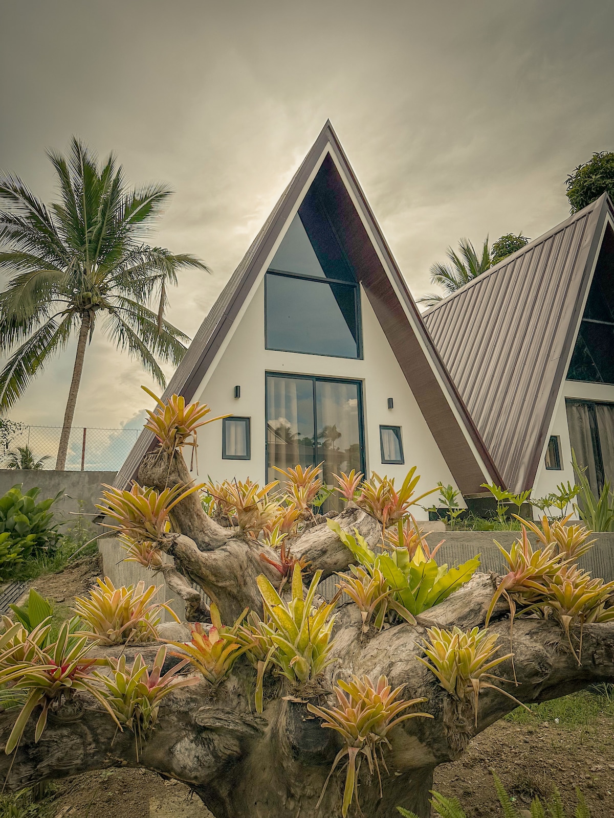 An A-frame cabin is showcased, featuring a triangular roof with large windows that invite natural light. In the foreground, a decorative tree with vibrant green plants adds a touch of nature, surrounded by lush tropical landscaping that enhances the serene setting.