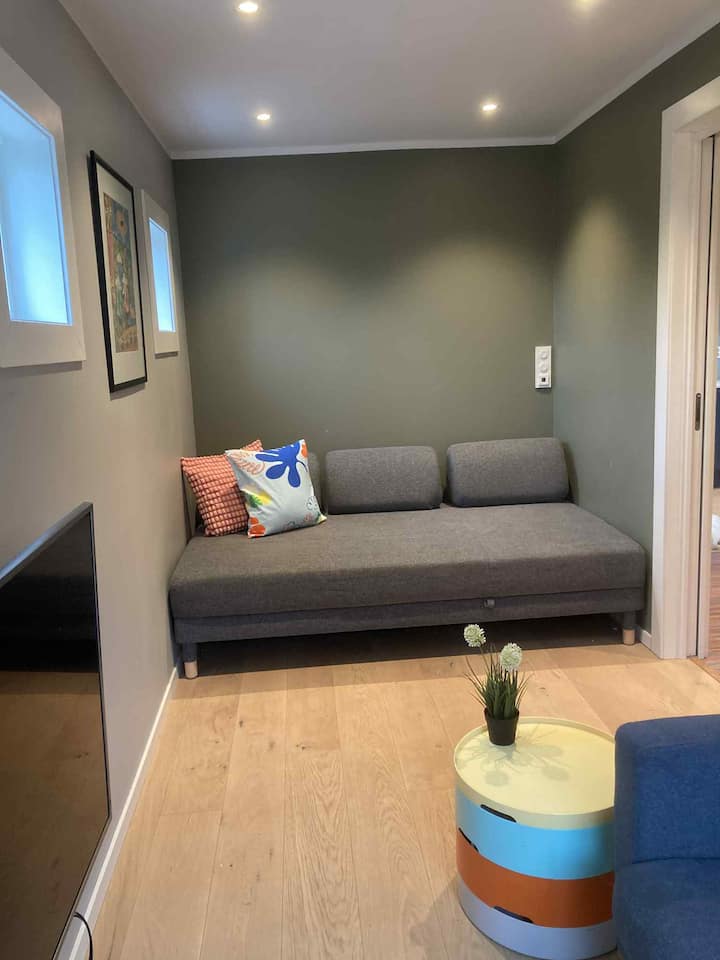 ห้องทีวีพร้อมโซฟาเบดคู่ขนาดเล็กและโซฟาปกติ 