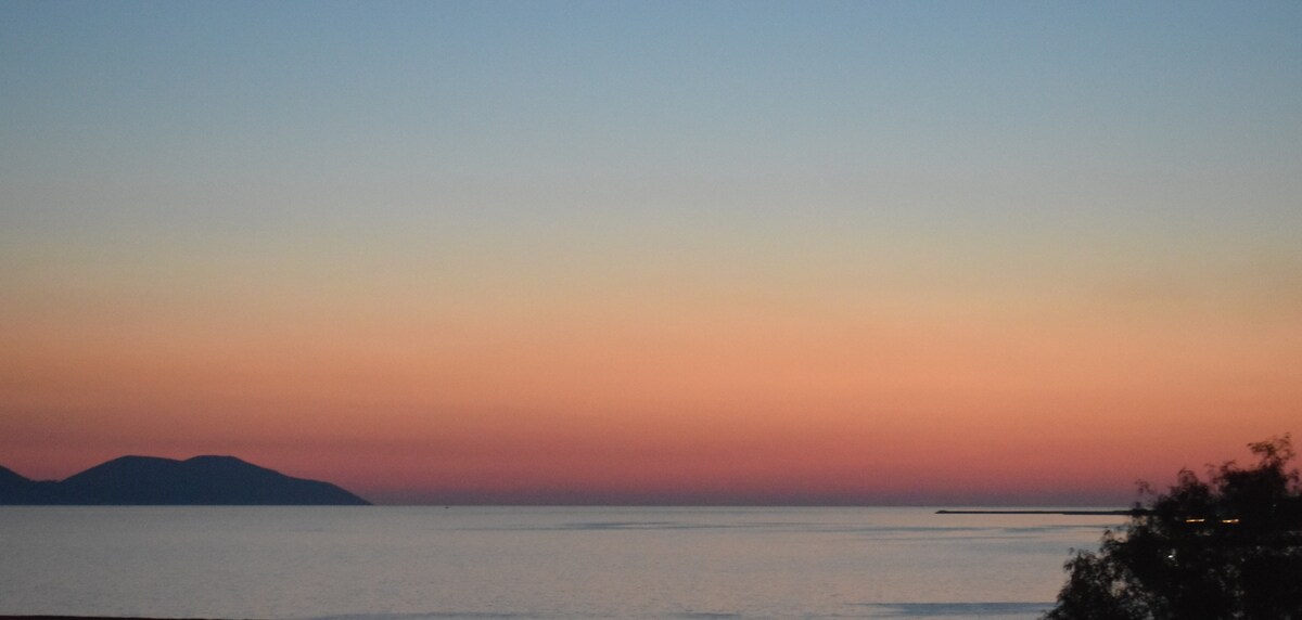 Listing 1455198197373252813