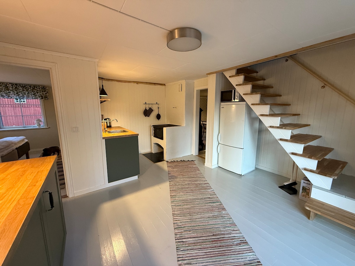 A modern kitchen area is visible, featuring green cabinetry and wooden countertops. A staircase with a light wood railing leads to the upper level. A striped rug stretches across the floor, connecting the kitchen to the living space, which is illuminated by overhead lighting.
