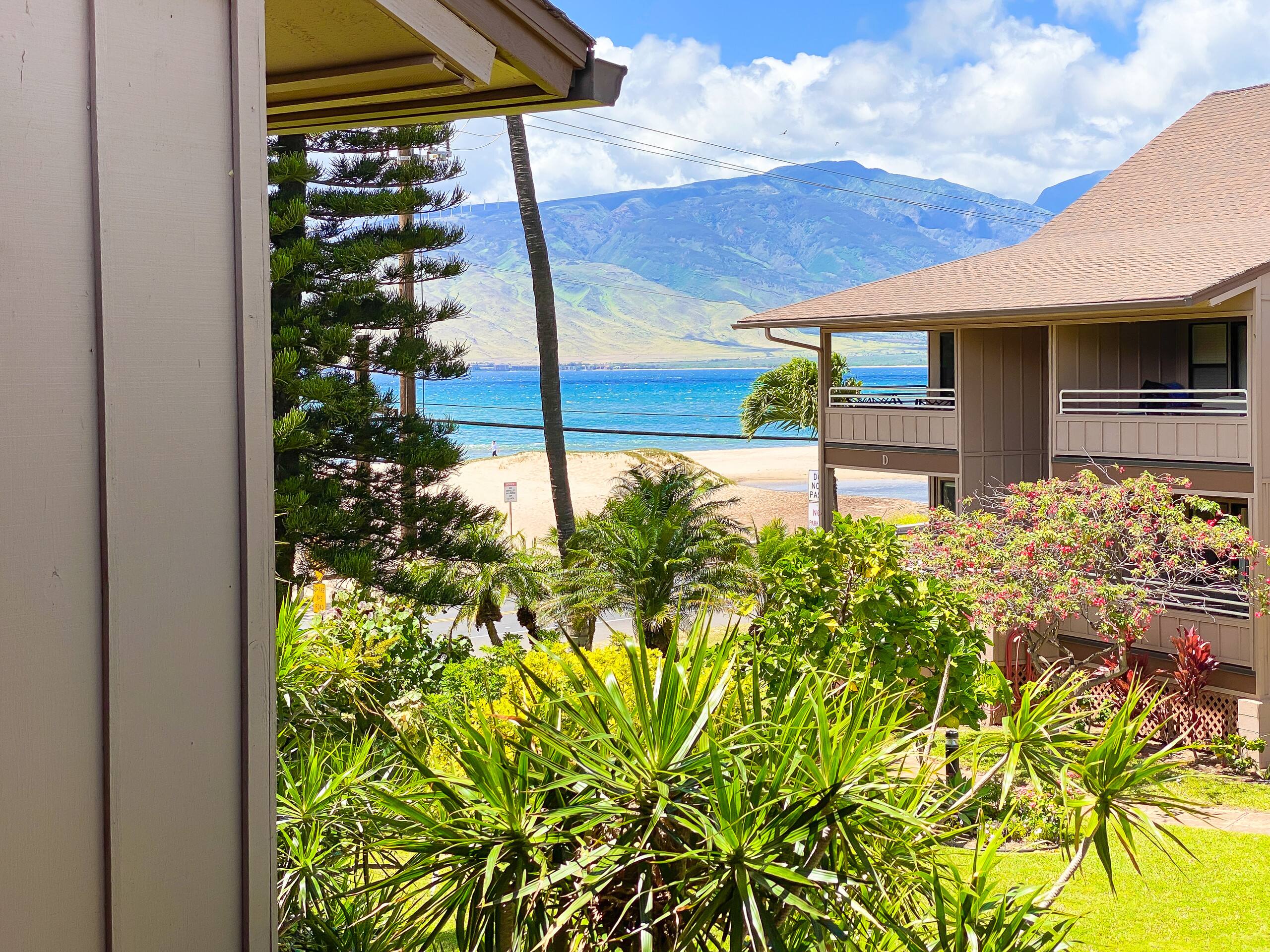 Condo in Kihei · ★4.86 · 1 bedroom · 3 beds · 1 private bath - Image 1