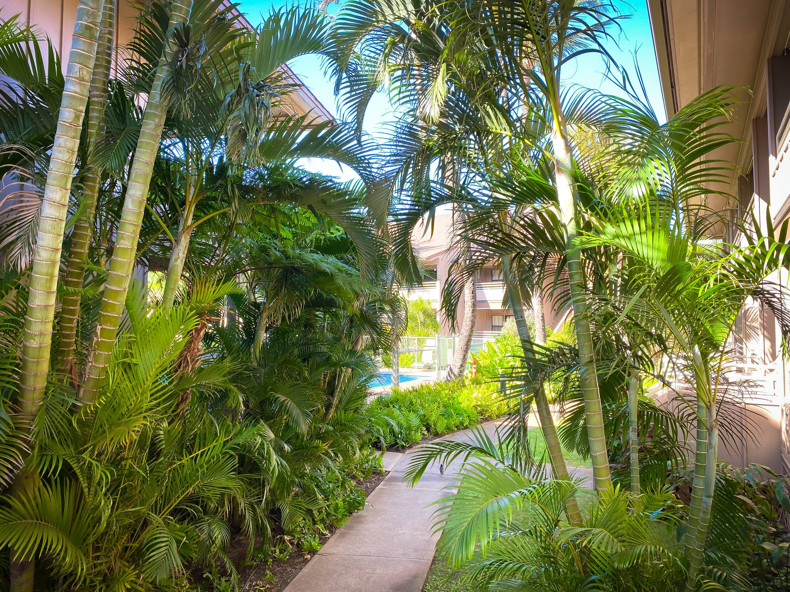 Condo in Kihei · ★4.86 · 1 bedroom · 3 beds · 1 private bath - Image 39