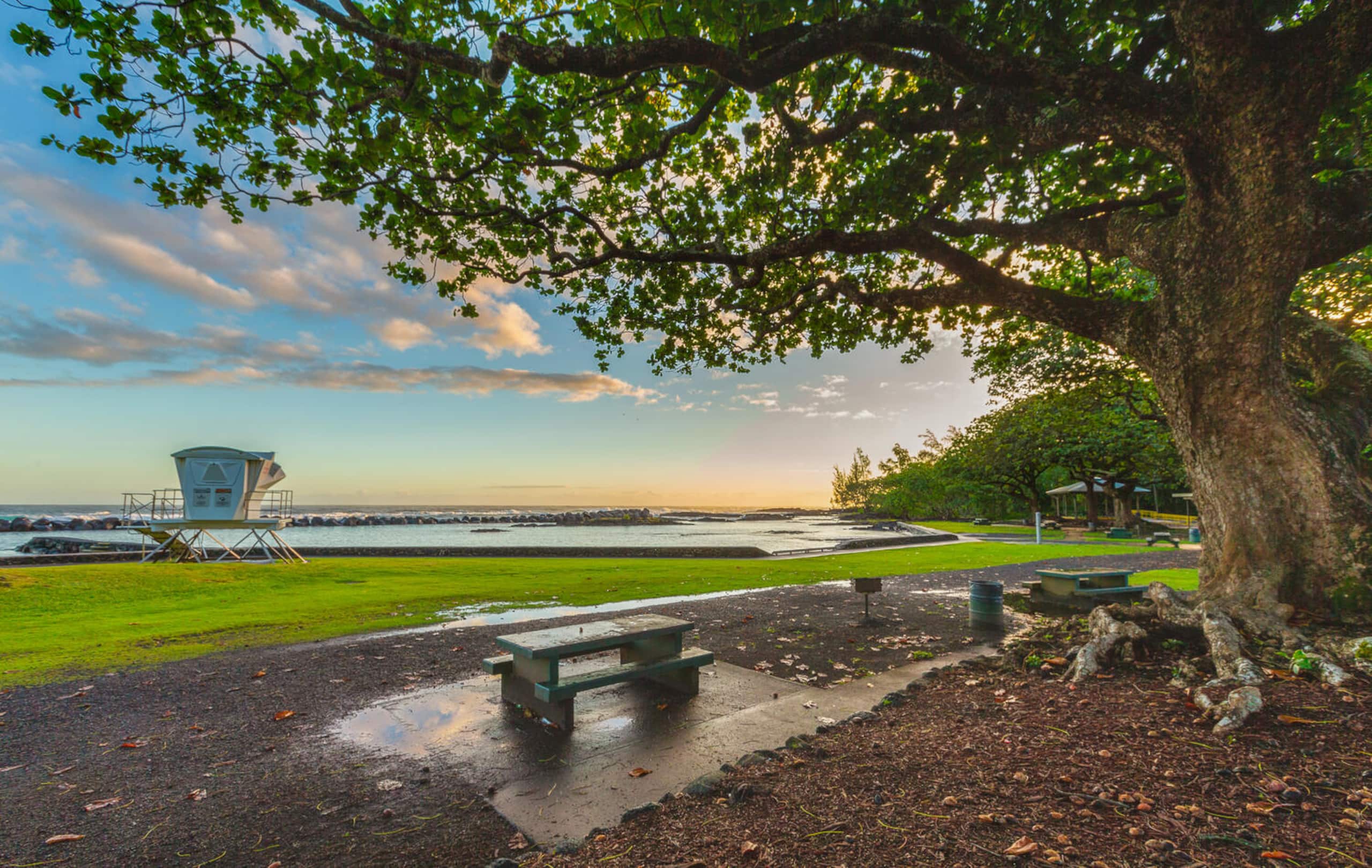Home in Hilo · ★4.56 · 3 bedrooms · 6 beds · 1.5 private baths - Image 19