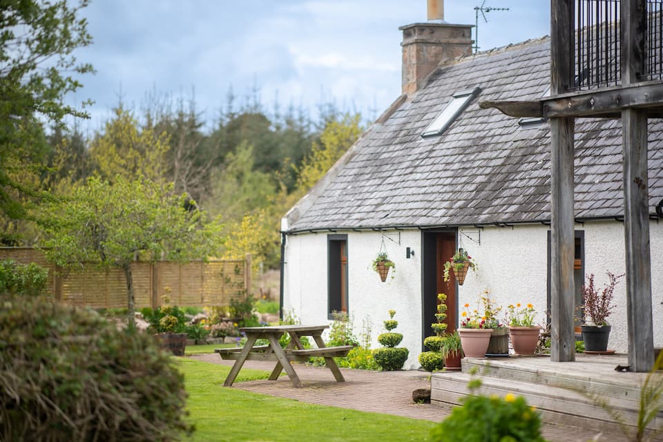 Cosy & rustic retreat - Woodland Cottage. — photo 1