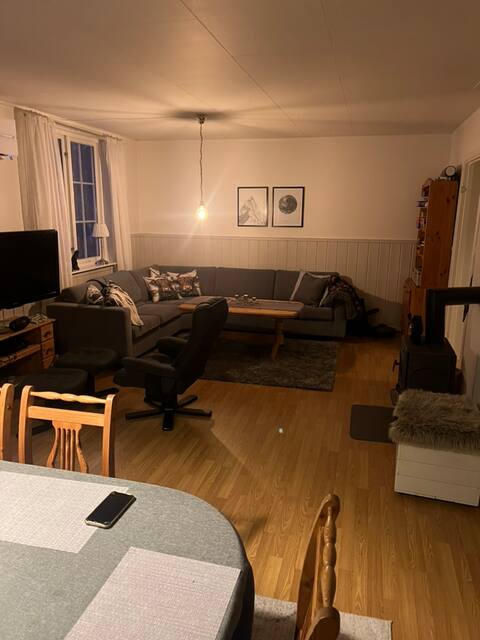 Successful Airbnb property: Hus i Rjukan / Gaustablikk in Tinn