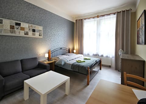 Top performing Airbnb: Cozy Apartment Nuselska [3] in Michle