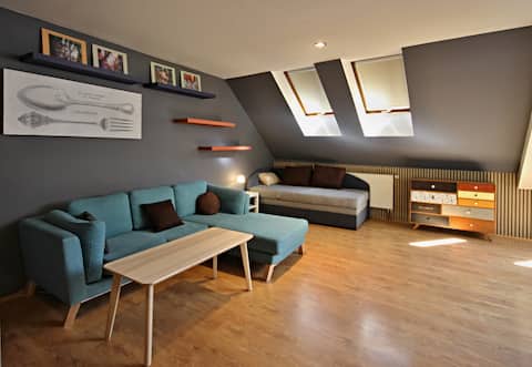 Successful Airbnb property: Cozy Apartment Nuselska [10] in Michle
