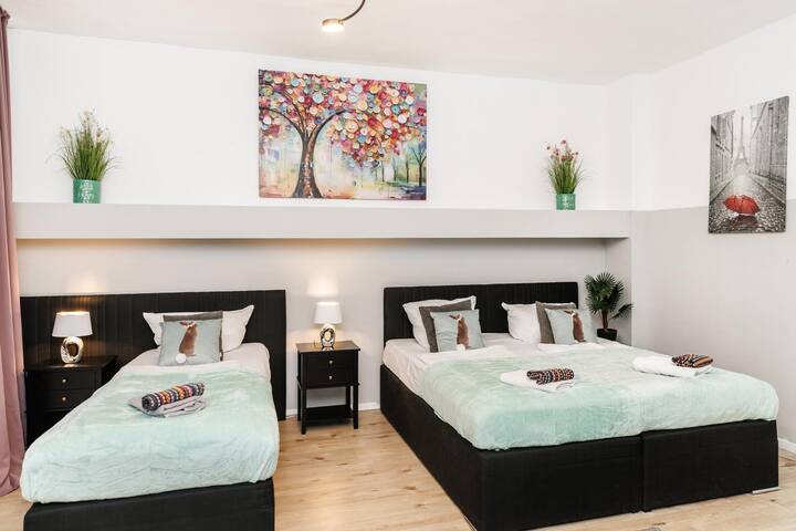 2Rooms Flat f. 6Persons CityCenter Femily Friendly