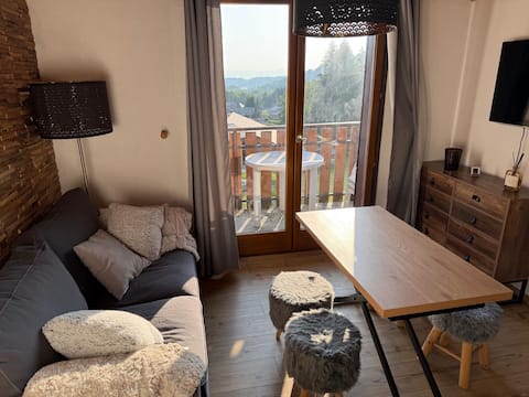 Top Airbnb: Beautiful getaway in Haute Savoie à Bernex