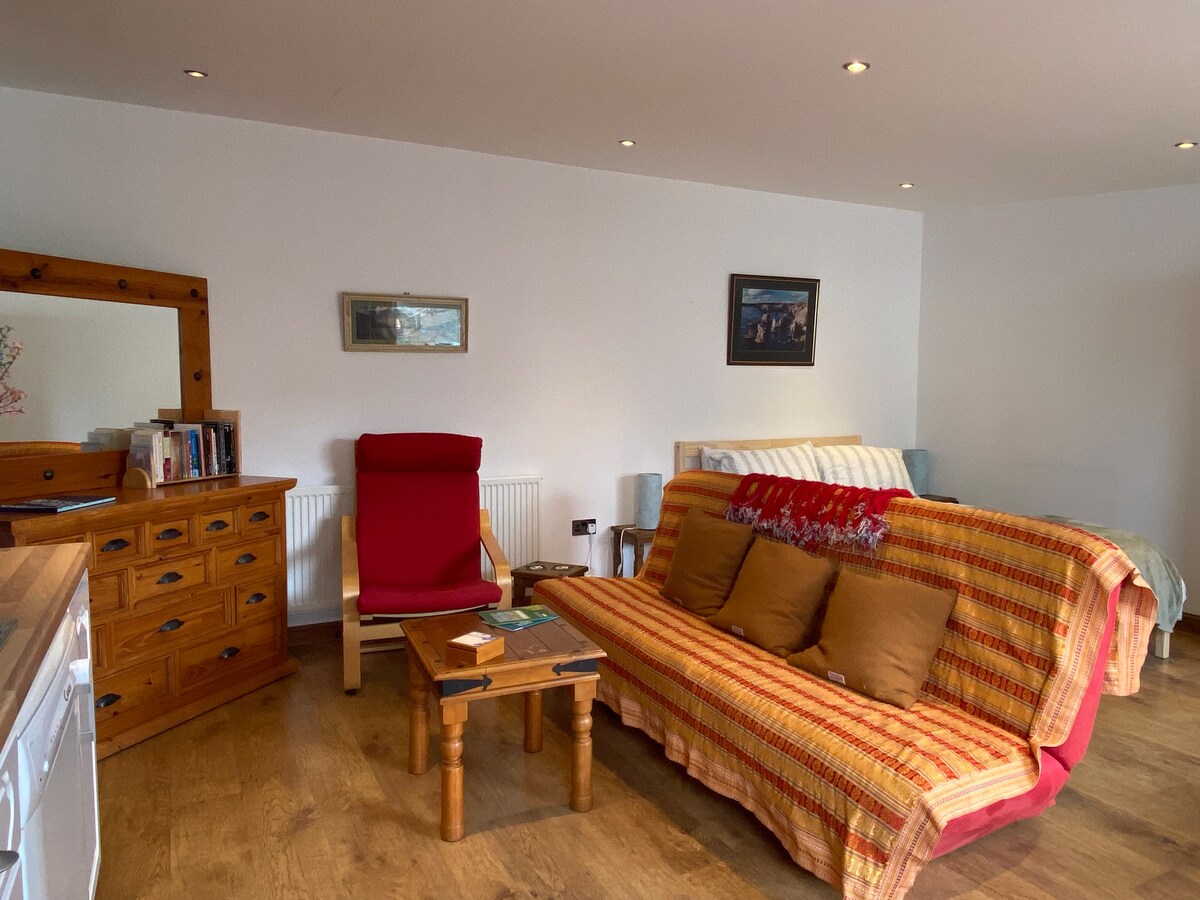 A seating area features a red armchair and a sofa adorned with a colorful blanket, complemented by several brown cushions. A wooden coffee table is positioned in front of the sofa. A wooden dresser and a framed picture add character to the bright, open space.