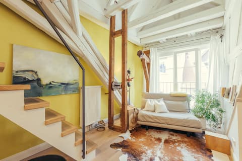 Loft apartment with balcony (Gerberschanze)