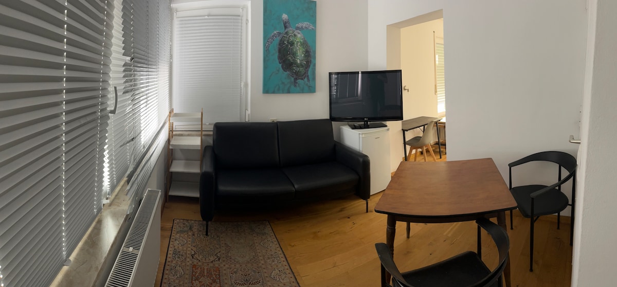 A living area features a black sofa positioned against a window with horizontal blinds. A wooden table is situated in front of the sofa, with two chairs nearby. A television stands on a white cabinet, and artwork depicting a turtle is displayed on a wall.