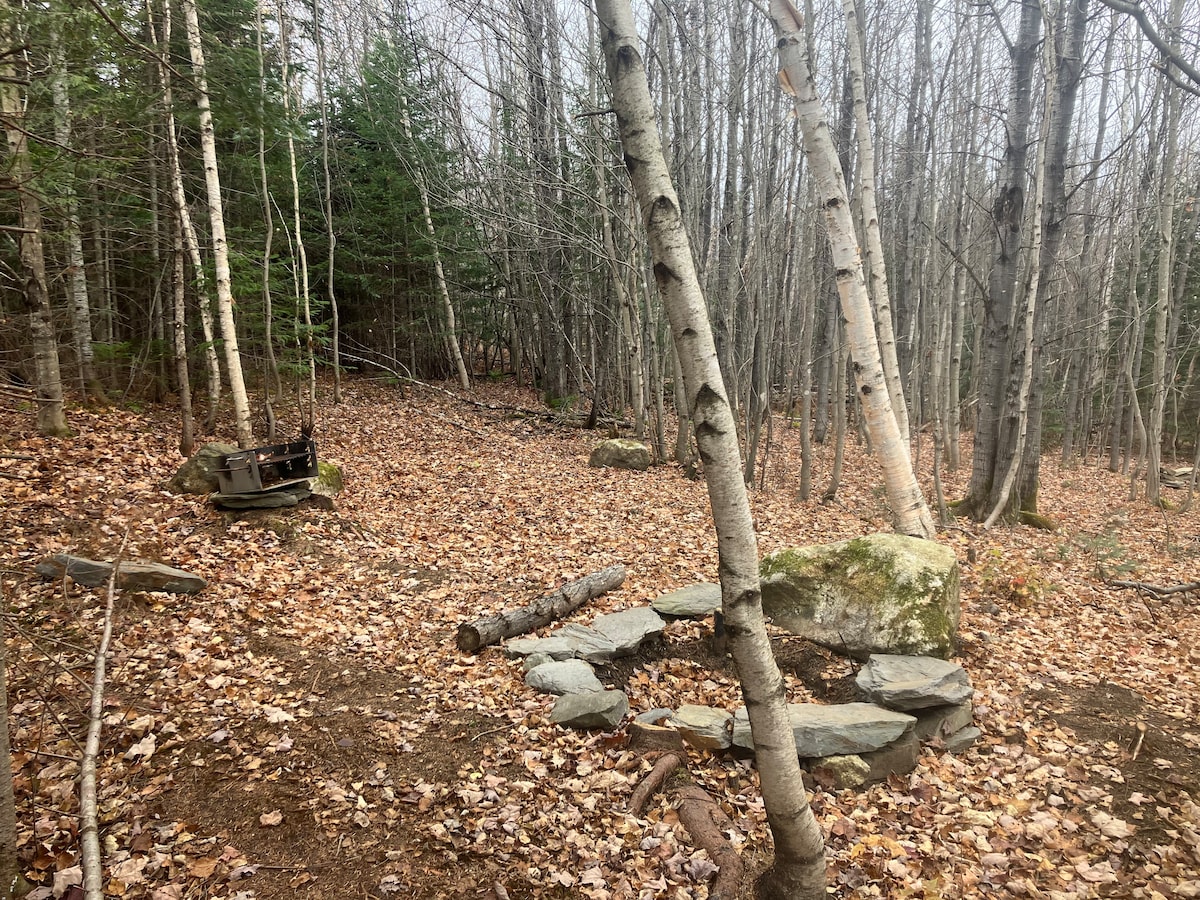 A wooded area features a circle of stones arranged to form a fire pit, surrounded by scattered leaves on the ground. A few logs lie nearby, and a set of rustic seating is positioned in the background among the trees.