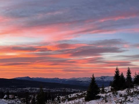 Modern mountain cabin with a view