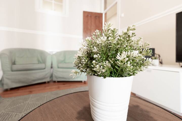 Alkanet Apartment, Anjos, Lisbon gallery image 5